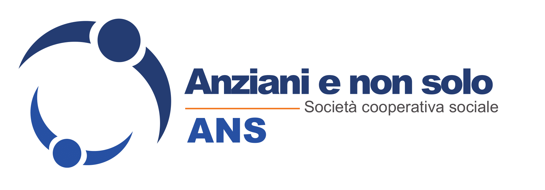 Logo ANS new